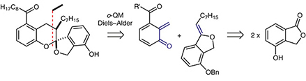 biomimetic synthesis of microtubule inhibitor paecilospirone