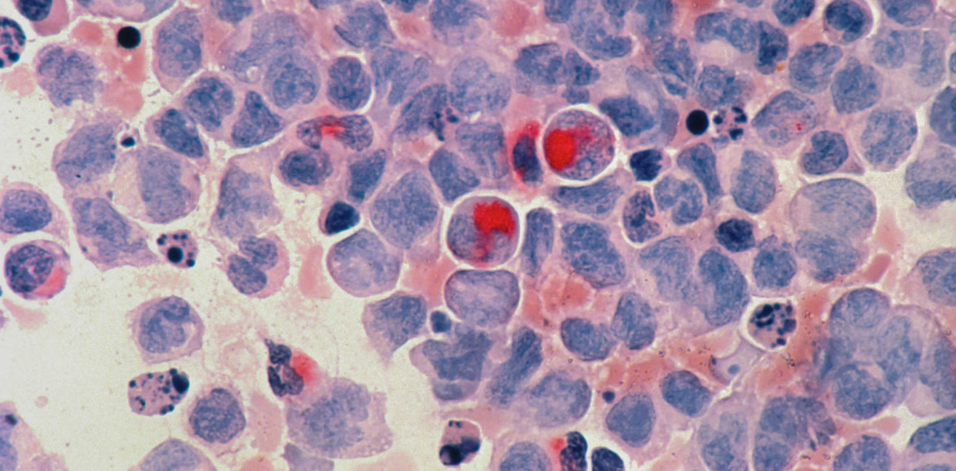 Arnab Current Article Screenshot