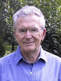 Prof. Horia Metiu Headshot