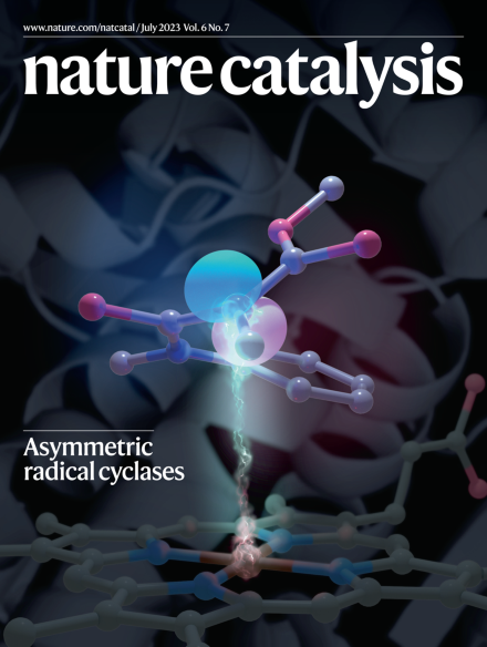 Concept illustration depicts highly mobile electrons moving across the polymer