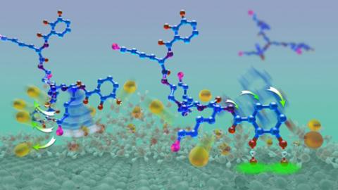 Butler Group Research: How mussels stick to wet surfaces