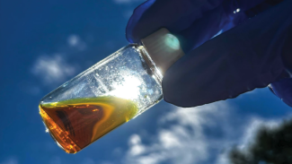 Screenshot from Grace Han CEN Article